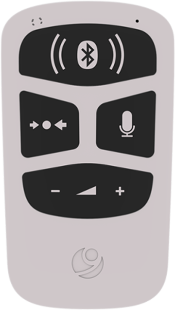AudioLink
